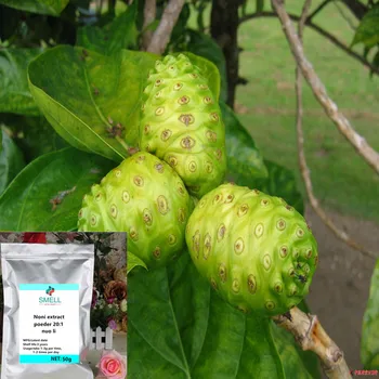 

100g-1000g High quality, no additions Noni extract powder Nori extract /nuo li/ Free shipping