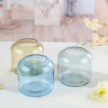 

Circle Big Glass Vase Nordic Creative Desktop Grow in Water Flower Holder Hipster Flower Epipremnum Aureum Decoration cha hua pi