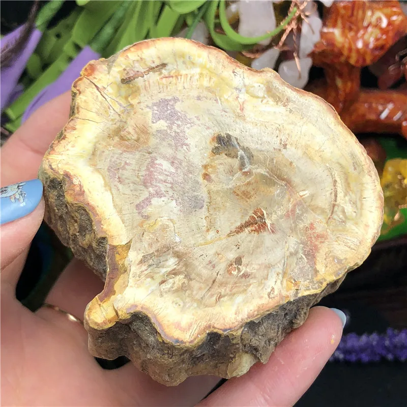 Природный окаменелый деревянный окаменелый камень сырой Рок Кристалл кварц минеральный с лечебным действием, образцы рейки домашний декор - Цвет: 190g