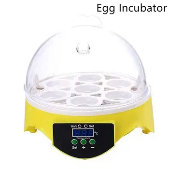 

7 Eggs Incubator Poultry Incubation Equipment Chickens Ducks Bird Pigeon Quail Poultry Incubator Incubator Automatic Turn Eggs