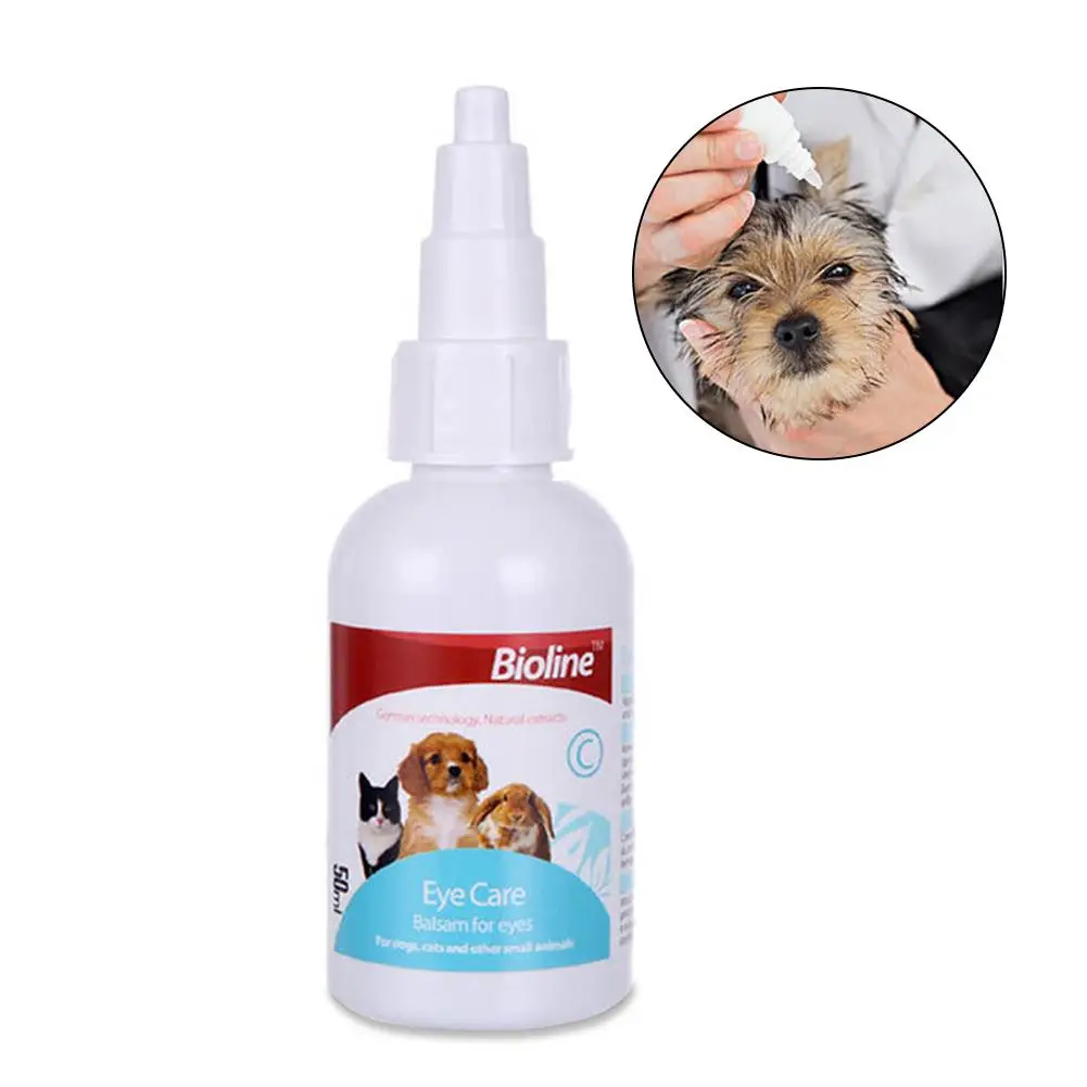 Can A Dog Use Human Eye Drops