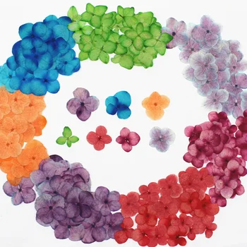 

Hydrangea Dried Flower Hydrangea Embossed DIY Handmade Epoxy Dried Flower Phone Shell Aromatherapy Candle Flower Material