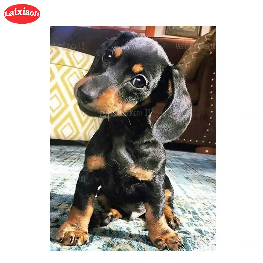 3dラウンド正方形のダイヤモンドの刺繍現代の動物アート かわいいダックスフントdiyフルダイヤモンド塗装ステッチクロスモザイクホームアート ダイヤモンド ペイント Aliexpress