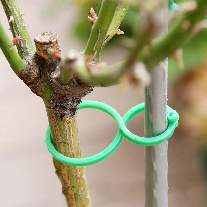 20/50/100 Pcs Plant Clips Garter Plants Tomato Clip Reusable Garden Plant Support Rill Greenhouse Seeding Vines Clamps