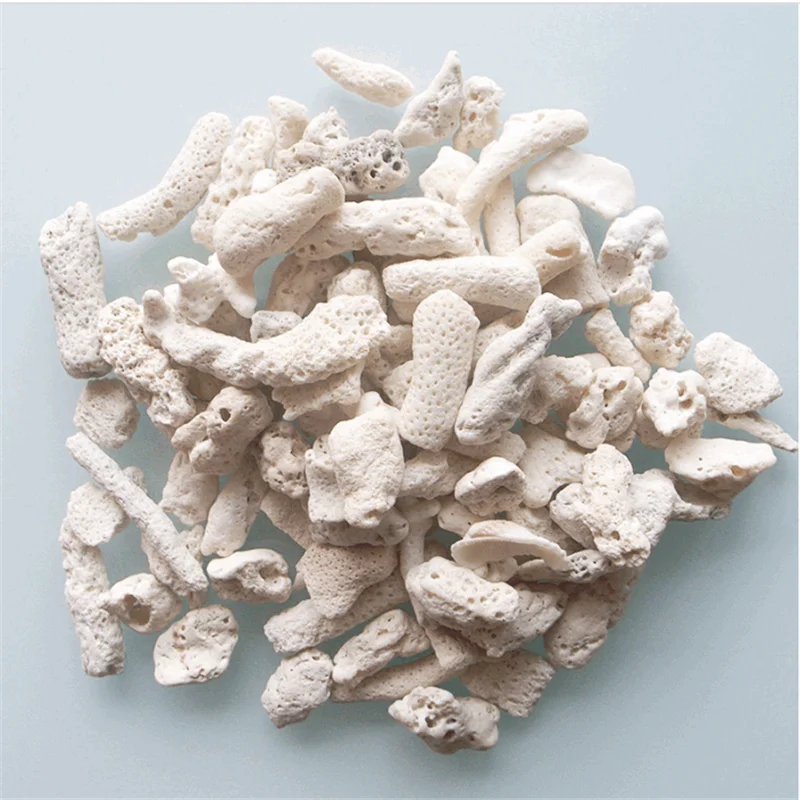 Aquarium Filter HONGYI Natural Coral Bone Stone Marine Aquarium Fish Tank Filter Media