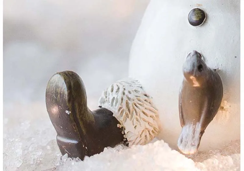 O1CN01BdRRrU1uj1OiXLV3q_!!1650246072