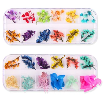 

2 Boxes Beautiful Dried Flower Nail Sticker 12 Colors Nail Decals Nail Art Supplies for Women Girls Ladies