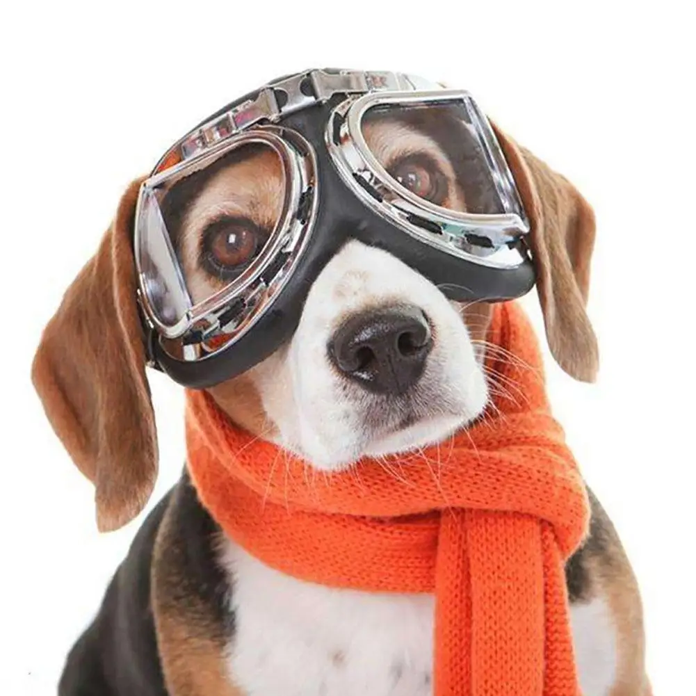 Модные большие солнцезащитные очки для питомца собаки кошки наружная Одежда фотография Реквизит