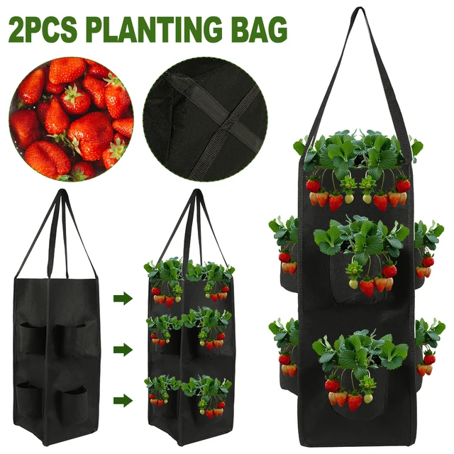 Strawberry planting growing bag 10