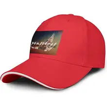 Блог счастливый день Пятидесятницы логотип унисекс мужские хип-хоп Регулируемые сетчатые уличные бейсболки плоские кепки