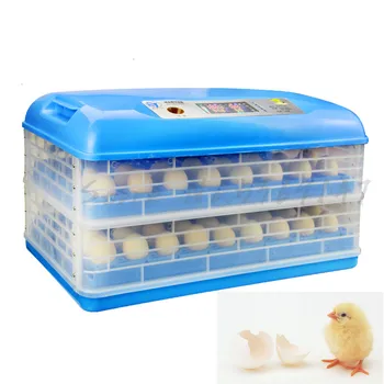 Incubadora de huevos transparente de China, varias bandejas, pequeña, para el hogar, termostato de Couveuse para