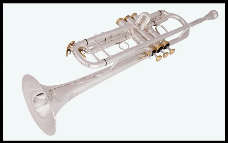 QQ图片20200222135538