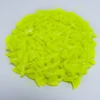 20pcs Anti- Scratch Silicone Soft Cat Nail Caps / Cat Paw Claw / Pet Nail Protector/Cat Nail Cover with free Glue and Applictor 4