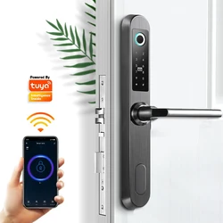 Tuya – combinaison d'empreintes digitales électronique, étanche, maison intelligente, carte Mifare numérique, serrure de porte, contrôle à distance WiFi 
