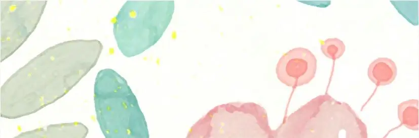 QQ截图20200528095755