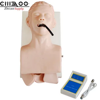 

Medical Science Teaching Human Trachea Intubation Model