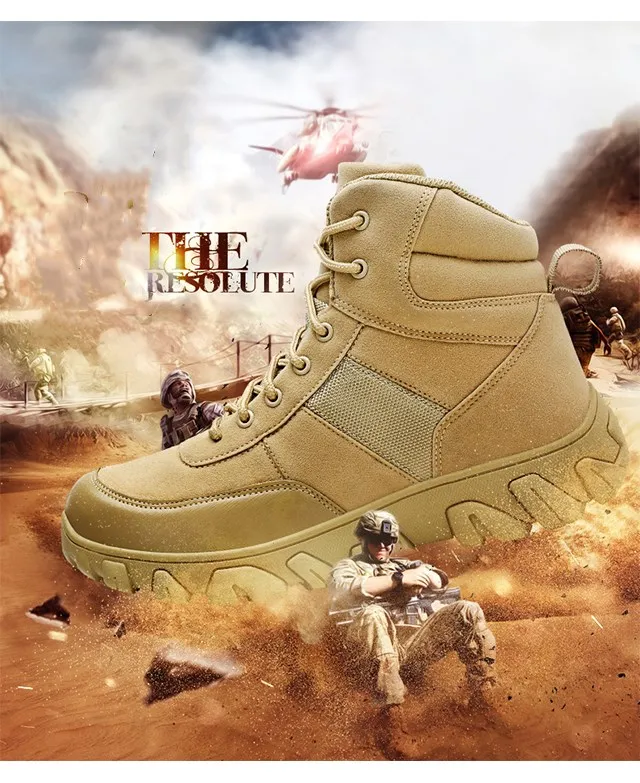 未标题-1_02_副本