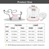 Winter Pet Dog Harness Soft Puppy Cat Harness Leash Set Warm Dogs Clothes No Pull Adjustable Vest For Small Dogs French Bulldog 6