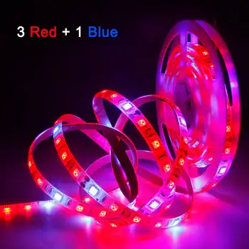 

LED Grow Lamp Full Spectrum LED Strip Light 5050 SMD 1/2/3/4/5M IP33 IP65 DC12V Growth Lamp Phytolamp For Greenhouse Plant Room