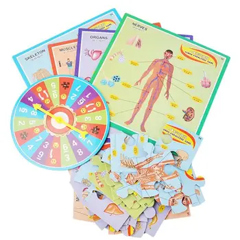 

Human Jigsaw Infant Enlightenment Learning Tools Cognitive Card Montessori Puzzle Early Learning Play Plane Educational Toys　
