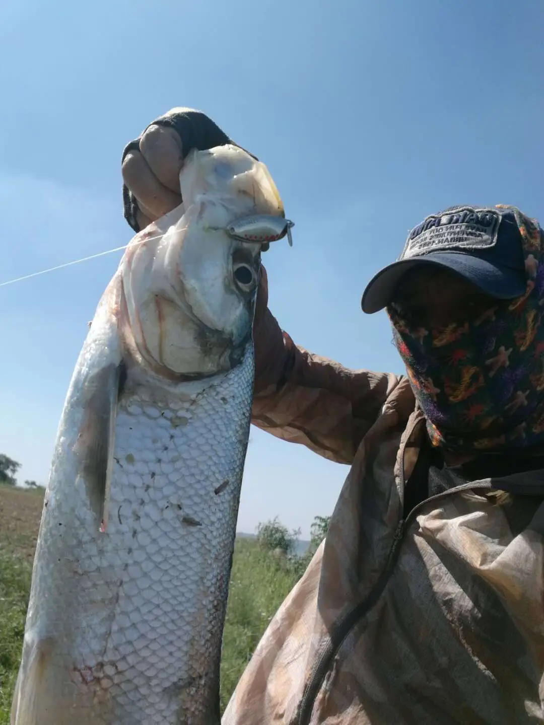 Набор приманки, искусственная приманка, пресная вода морская вода, приманка, жесткая приманка, Ray Frog Snakehead, стержень, блестящая Мягкая приманка Мино, щипцы, приманка