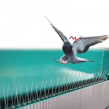 

2Pc 100cm Stainless Steel Bird Spikes Eco-Friendly Anti Pigeon Nail Bird Deterrent Tool For Pigeons Owl Small Birds Fence