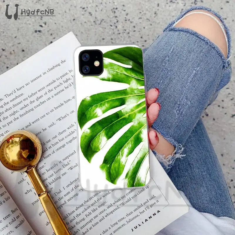 Banana Leaf