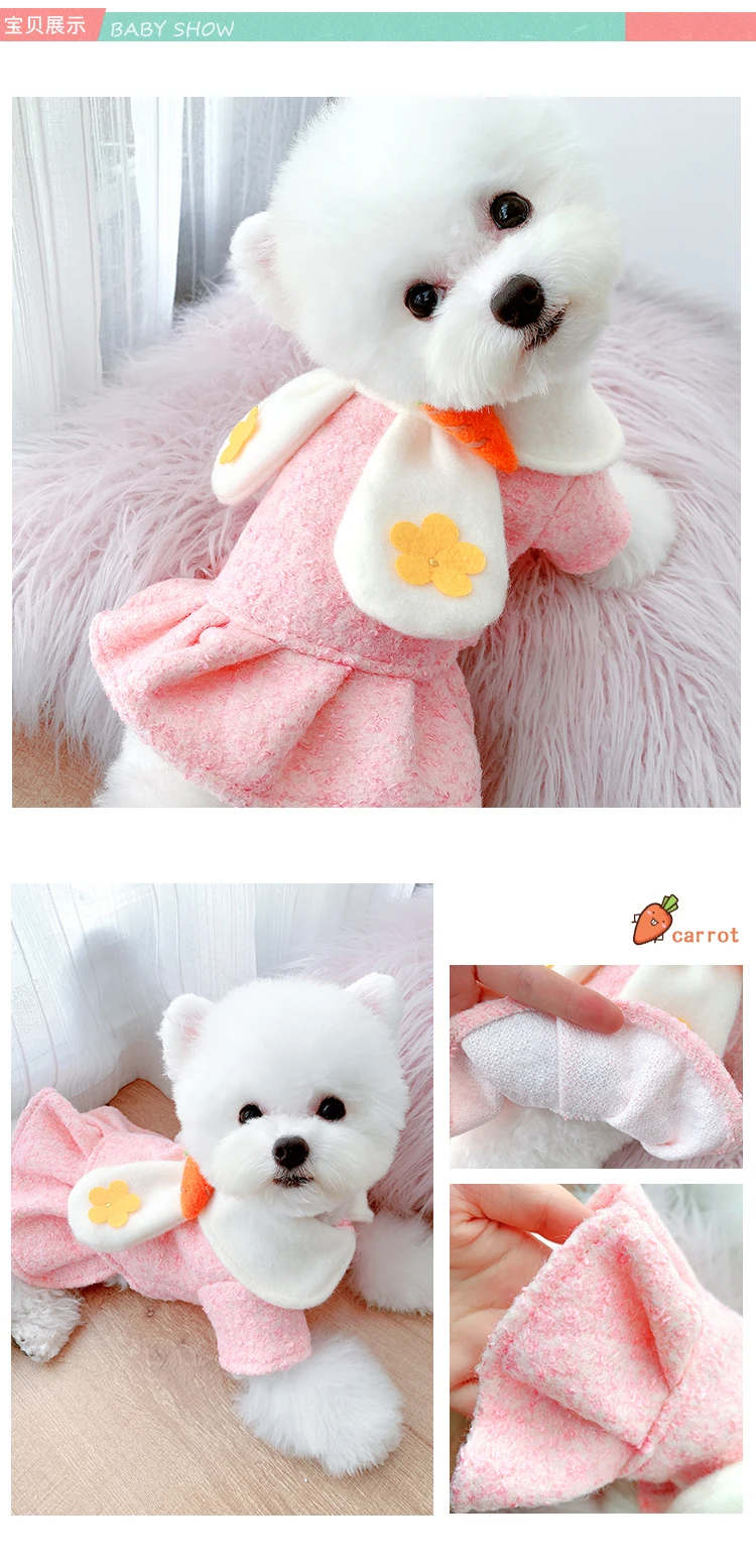 O1CN01QAenTJ1n3cMPimiTj_!!124495034 (1)