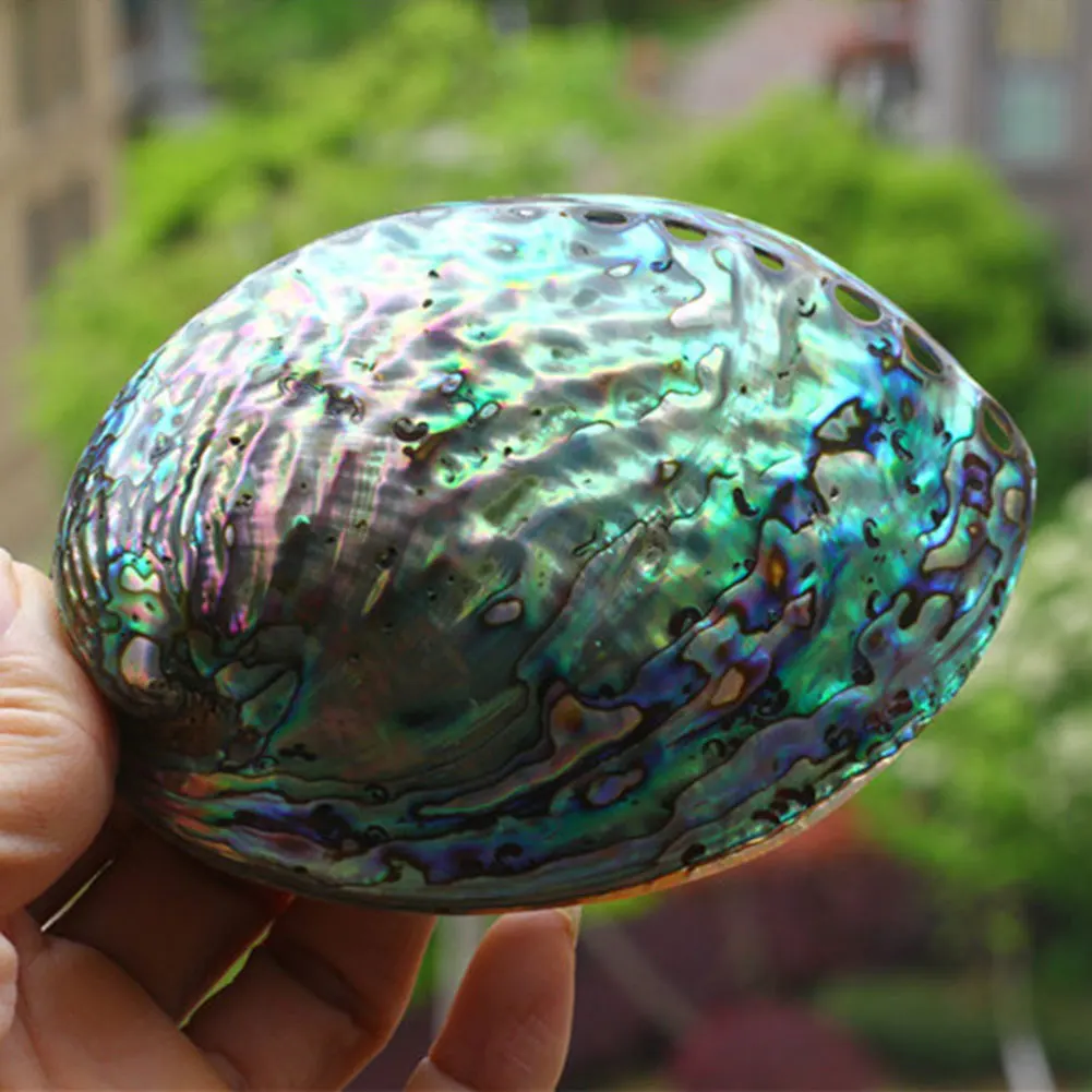 Conch Necklace Handmade DIY Bracelet Charm Ornament Wedding Jewelry Craft Abalone Shell Home Decoration Sea Pendants Natural