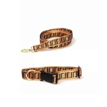 

Fashion Collar Leash for Dogs Pets Walk Lead Pet Leash for Small Medium Dogs Outdoor Leading Accessories