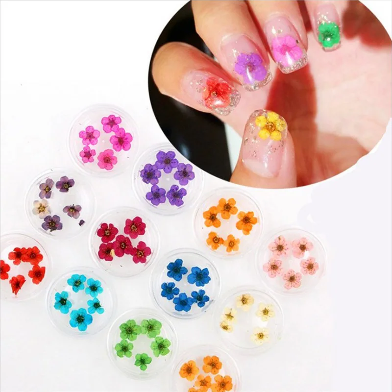 1 Wheel Natural Dried Flowers Nail Art Decoration 3D Pressed Plum blossom Flower Slider Sticker Polish Manicure Nail Accessories