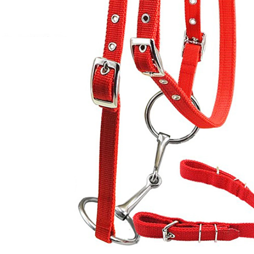 Horse Bridle Horse Rein Headstall Thickened Halter Equestrian Accessories Removable Snaffle Nylon Webbing Horse Riding Equipment