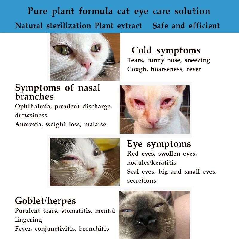 Cat Nose Drops Eye Drops Dogs Eye Drops Eye Washes Cat Nasal Branches