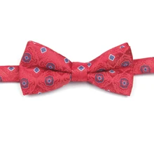 Красный галстук-бабочка с узорами предварительно завязанный Галстук-бабочка s