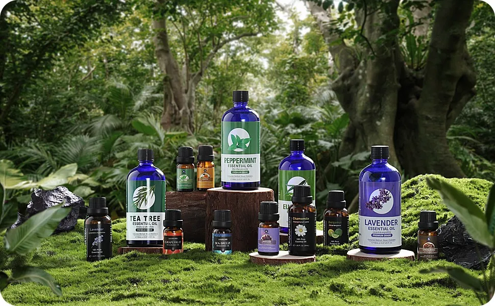 精油6件套精油A+-5.jpg_.webp