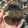 Wholesale natural septarium crystal egg geode septarian quartz stone geode Crystals Healing Chakra home decoration 3