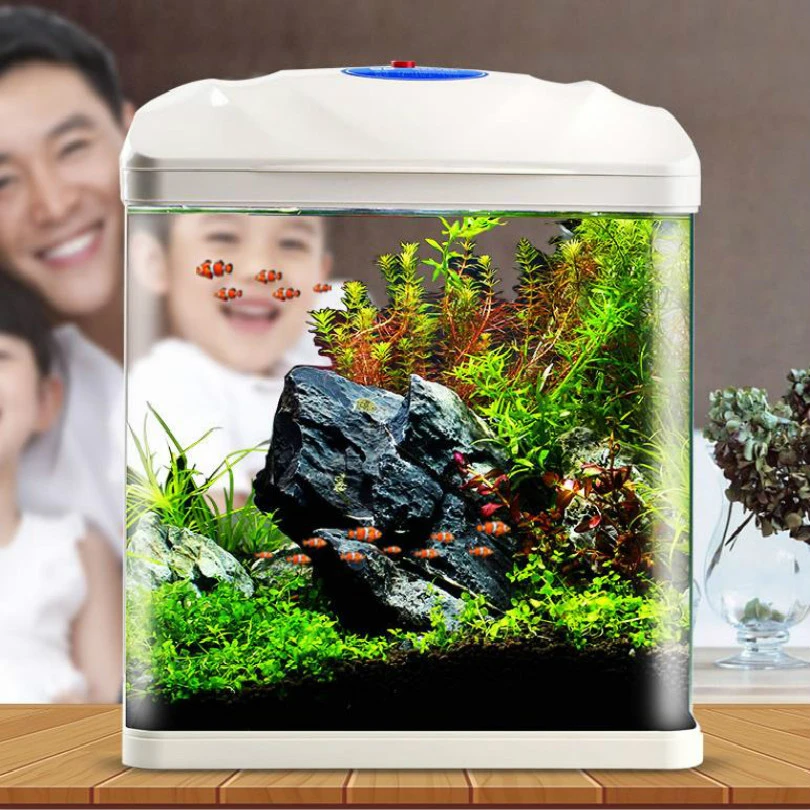 aquarium tank price