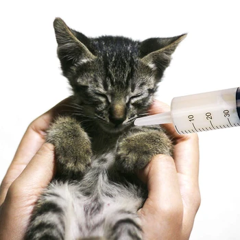 

20ml/60ml Syringes Plastic Syringe Sterile with No Needle for Scientific Labs Experiment Dispensing Measuring Watering