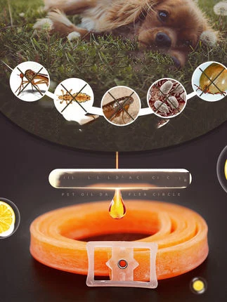 O1CN01CZxyca2I211vhUTmL_!!2249369227.jpg_430x430q90