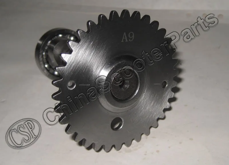 CS428