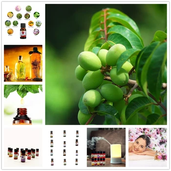 

10ml Essential Oils for Aromatherapy Diffusers Chinese Olive Essential Oil Relieve Stress for Body Massage Relax Skin Care TSLM2