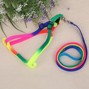 

Colorful Small Dog Leash Collar Running Pet Products Durable Nylon Adjustable Harness Walking Leads Chihuahua Teddy Supplies