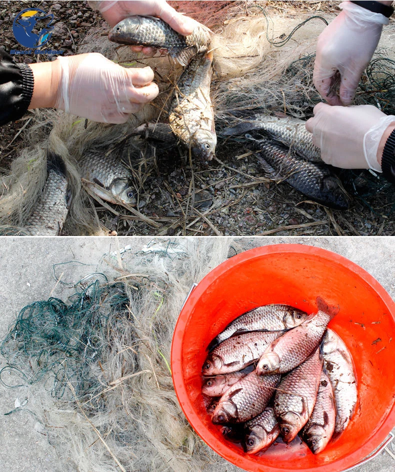 4078584840_1945748582