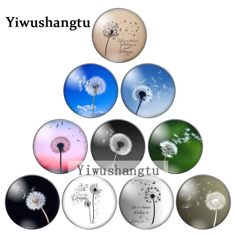 

Fashion flowers dandelion best wish8mm/10mm/12mm/18mm/20mm/25mm Round photo glass cabochon demo flat back Making findings ZB0543