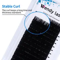 5 Pcs/Lot Eyelash Extension 16 Rows Classic False Eyelash Ｗholesale Natural Mink Individual Lash Supplies Makeup Wendy Lashes 2