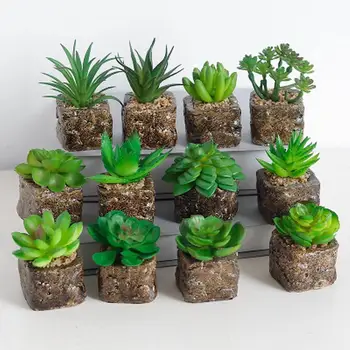 

1PCS Random Mini Artificial Succulent Plants Simulated Bonsai Small Cactus Plant Fake Succulents For Living Room Decoration 15