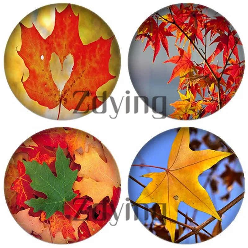 

Zdying 5pcs/lot Round Glass Cabochons Maple Leaves Pattern Glass Dome demo flat back Jewelry Findings Making Beads Accessories