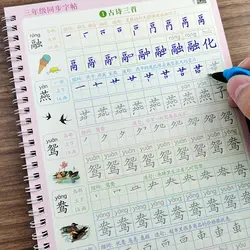 6books Reusable 3D Groove Practice For Copybook Synchronized Textbooks Chinese Characters Children Practice Art Writing Books
