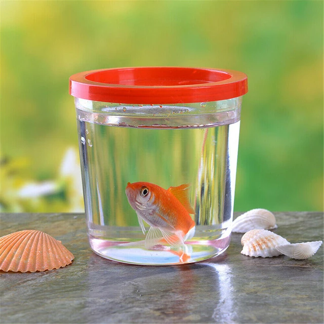 5pcs Betta cup Jellyfish Cup Small Fish Tank Clear Mini Container Betta Fish  Thickened Plastic Transparent