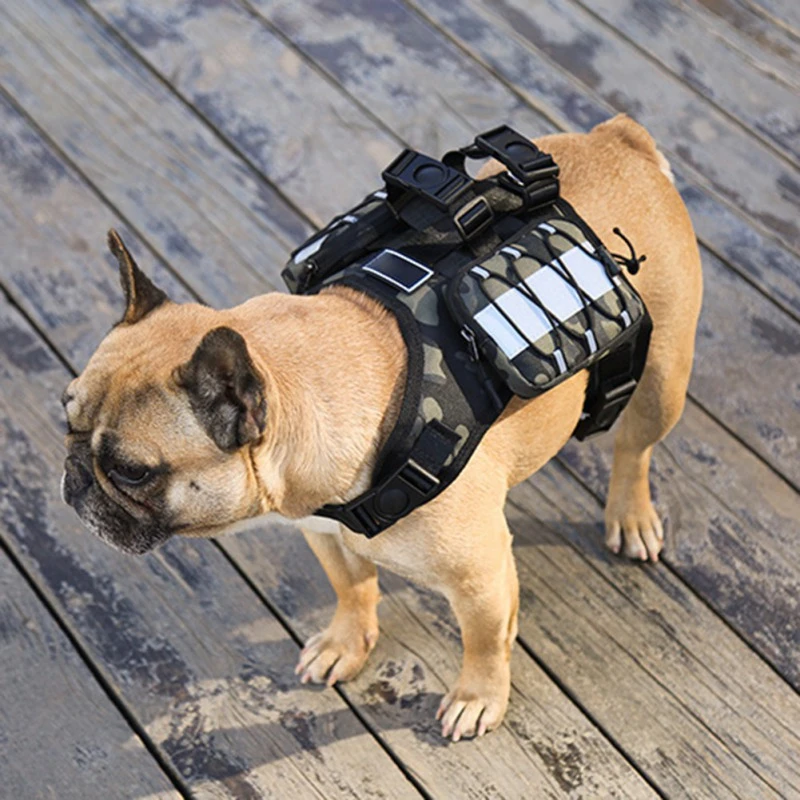 ペット用キャンバスバックパック 犬と猫用のかわいい多機能ランドセル 子犬用のトラベルバッグ ペット用品 Aliexpress Home Garden